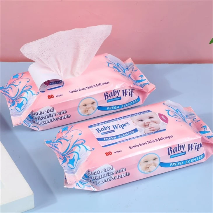 Biodegradable Travel Wipes